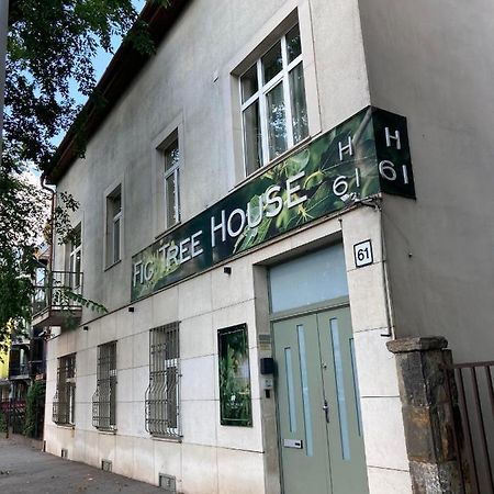 Fig Tree House Apartment Budapest Ngoại thất bức ảnh